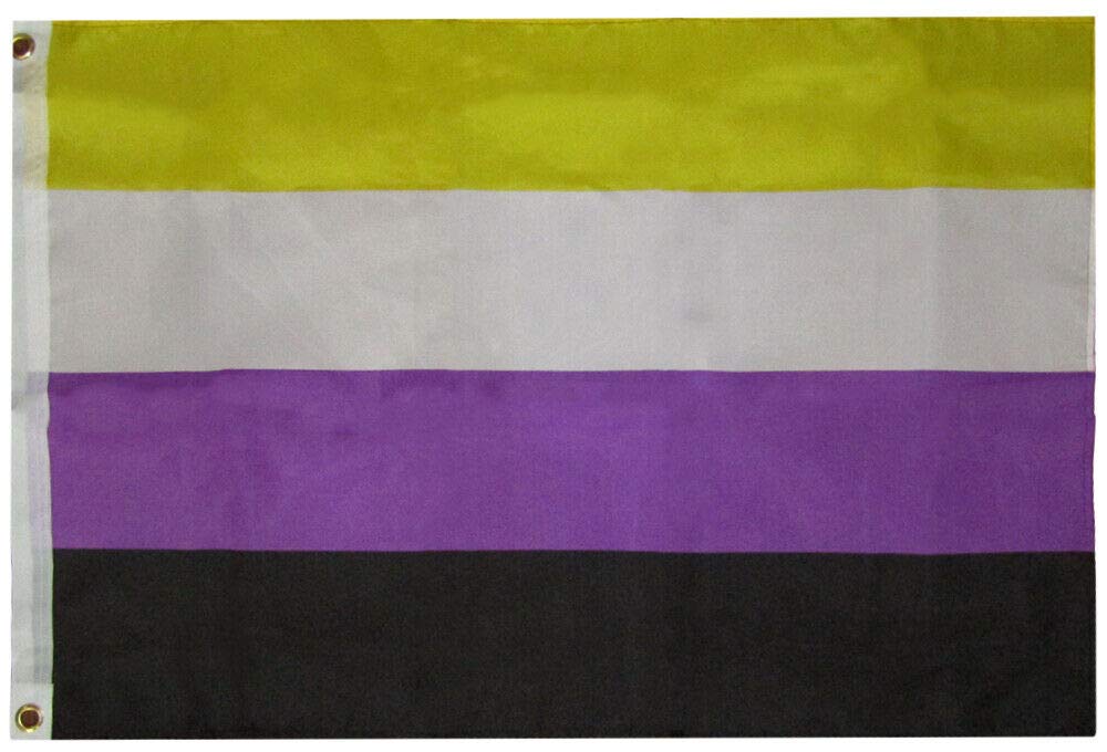 Trade Winds 2x3 Non-Binary Pride Premium Waterproof Polyester Flag 2'x3' Durable Bold Premium Fade Resistant