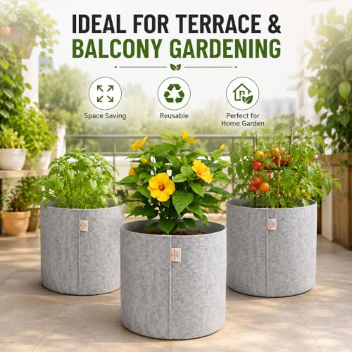 Image of Casa De Amor 400 GSM Geo Fabric Plant Grow Bag, Light Grey 10 x 10 Inch Pack of 5, Round Fabric Pots for Terrace, Balcony, Flowers & Vegetable Gardening