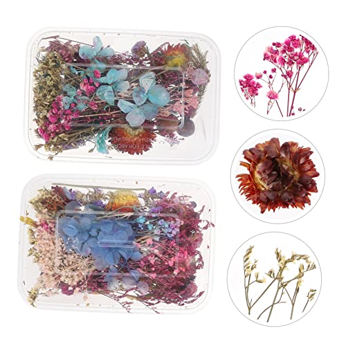 Flores secas naturales mini prensadas para manualidades x2 cajas miniatura 4