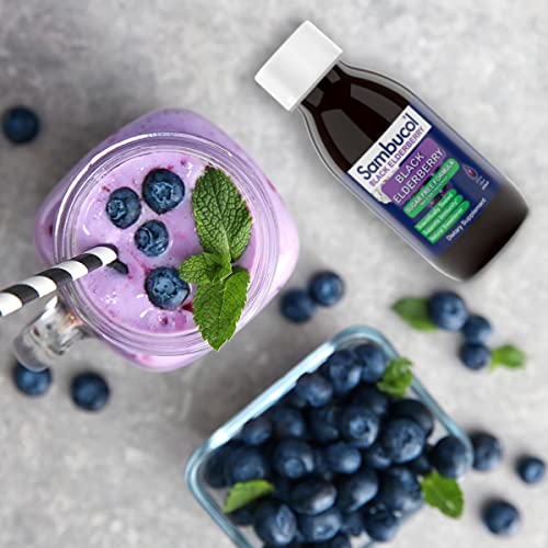 Sambucol Sugar-Free Black Elderberry Syrup - Sambucus Elderberry Syrup, Black Elderberry Liquid, Elderberry Syrup For Adults Immune Support, High Antioxidants - Sugar Free Formula, 4 Fl Oz #TOP4