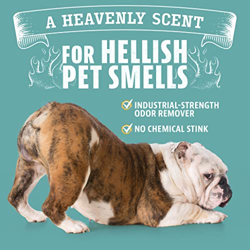Angry Orange HEE32 Pet Odor Eliminator For Strong Odor - Citrus Deodorizer For Strong Dog Or Cat Pee Smells On Carpet thumb #7