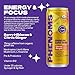 All Phenoms Energy & Focus Sparkling Organic Prebiotic & Probiotic Drink - Mushroom Blend (320mg Lions Mane), 75mg Green Tea Caffeine, 75mg L-Theanine, B12 - Citrus Ginger, (No Stevia) 12 Pack