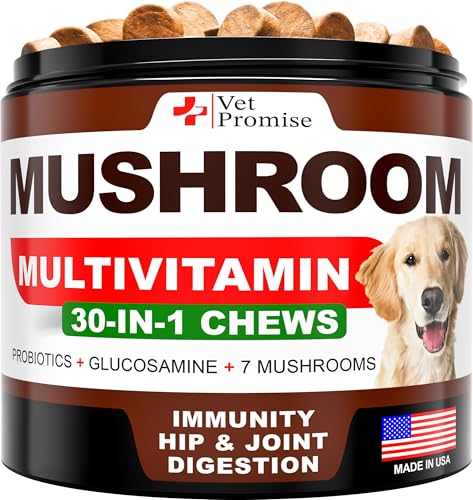 Image of Dog Mushroom Supplement with Reishi, Turkey Tail & Lion's Mane - Helps with Immunity, Digestion & Energy - Natural Ingredients - USA Made