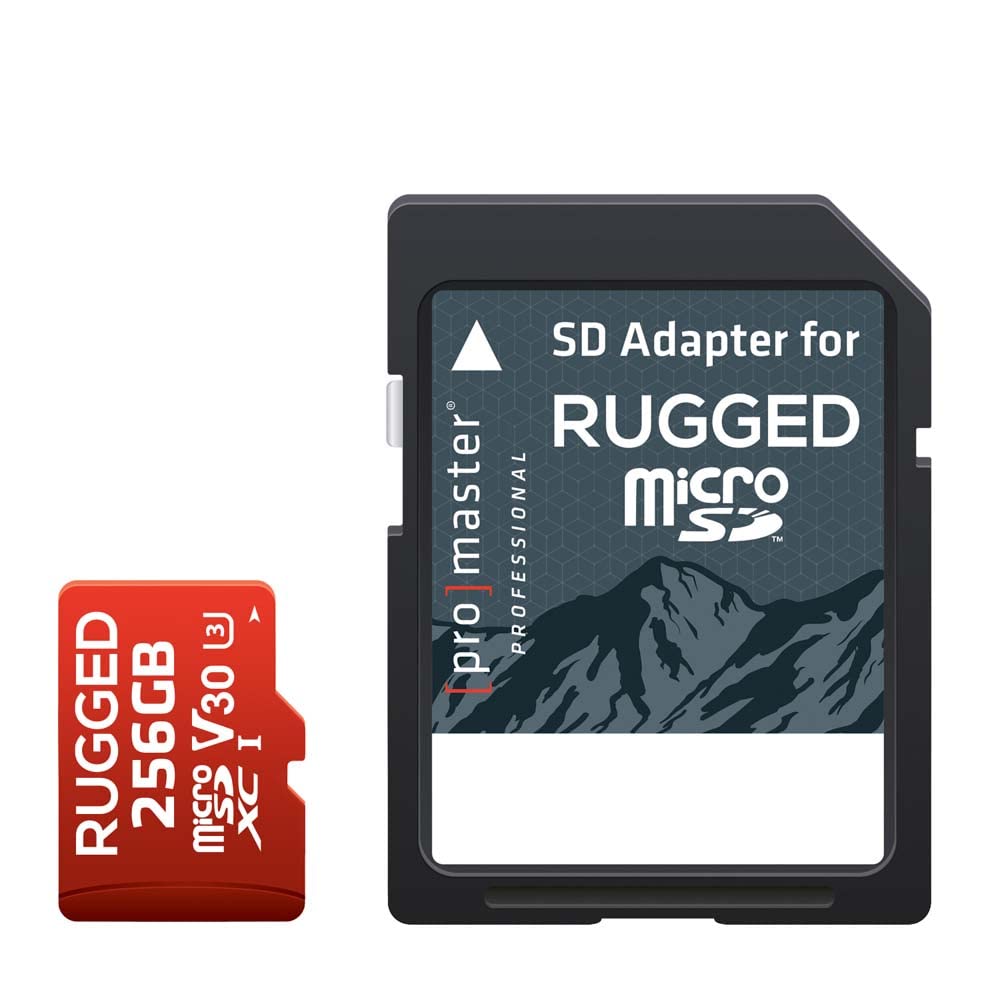 ProMaster Professional - Tarjeta de memoria (256 GB, microSDXC V30)