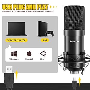 Peradix USB-condensatormicrofoon voor pc en laptop, studioopnamekit met microfoonstandaard, schokdemperhouder, voorruit…