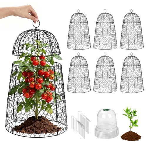 6 Pack XL Metal Garden Cloches for Plants, 17" Height Rustproof Chicken Wire Cloches for Seedlings, Vegetables & Flowers, Plant Protectors from Animals Includes 6 Humidity Domes & 24 Stakes - Black by TEMFAR - Used condition - US$68.50