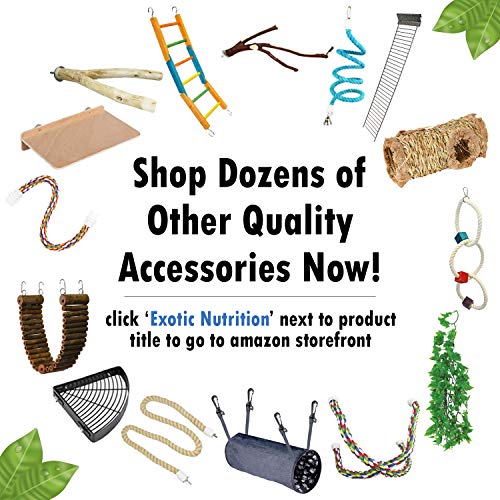 Exotic Nutrition Coconut Hut - Natural Nesting Hideout Home with Bridge Ladder Cage Accessory Toy - Sugar Gliders, Hamsters, Mice, Rats, Birds, Degus, Chinchillas, Other Small Pets