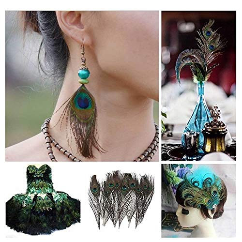Plumas de pavo real para rellenar jarrones altos sin perder volumen 6