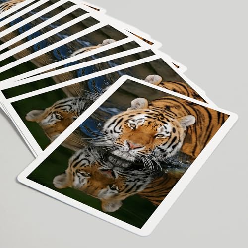 Lantern Press Tiger Reflection, 52 cartas de póker para adultos miniatura 5