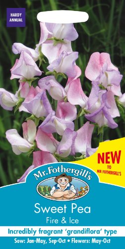 Mr Fothergill's SWEET PEA Fire & Ice Flower Seeds
