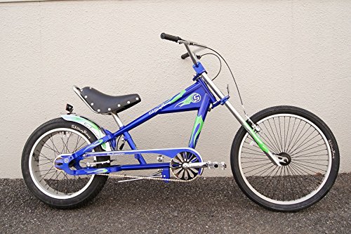 シュイン　自転車 マリン / ドンキージュニア22 限定色グロススペース | セオ