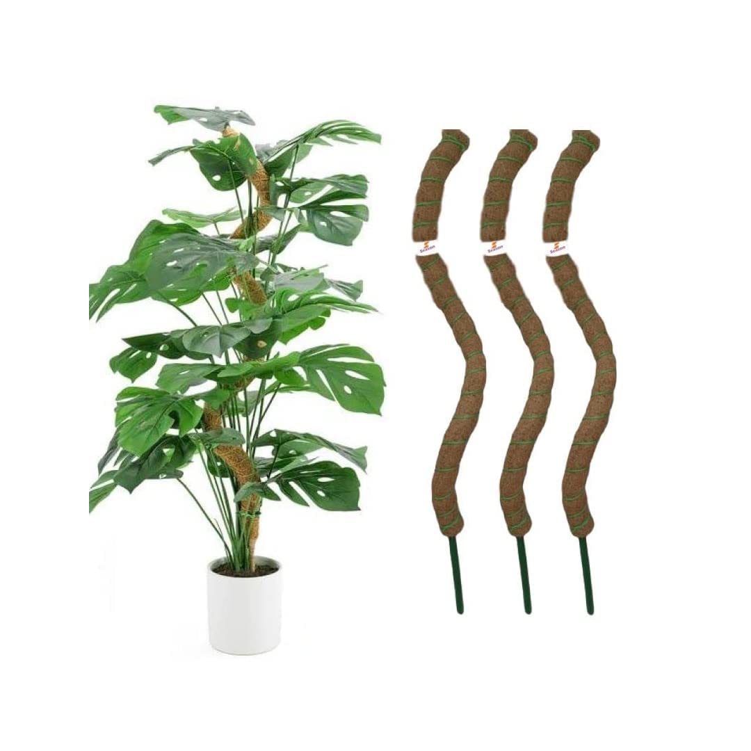 S Season Real Moss Pole for Plant Stakes, Handmade Slim Forest Moss Stick, Potted Plants Support/Totem Perfect for Small/Medium Climbing Plants Indoor & Outdoor (Pack of 1) (B0C2YVKQG3) Amazon Price History, Amazon Price Tracker