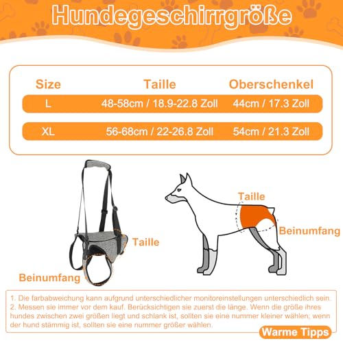 Hundehebegeschirr, Verstellbare Tragegeschirr Hund, Hundegeschirr Grosse Hunde Mit Schwammgriff, Tragbares Hundegeschirr für die Hinterbeine Kranke Oder Operierte Hunde