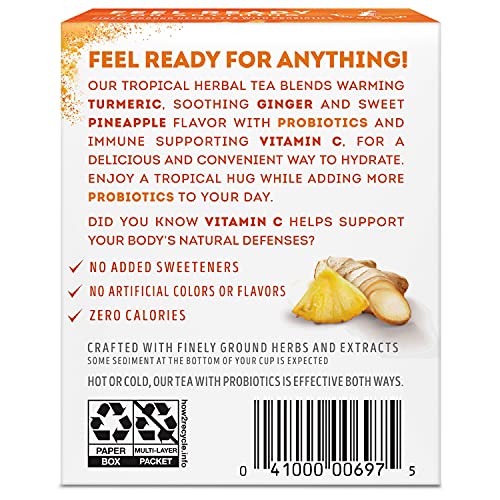 Lipton Tea Sachets For A Refreshing Cup Of Flavored Tea Turmeric Ginger + Vitamin C Finely Ground Herbal Tea With Probiotics .42 Oz 12 Servings, Pack Of 9 #TOP1