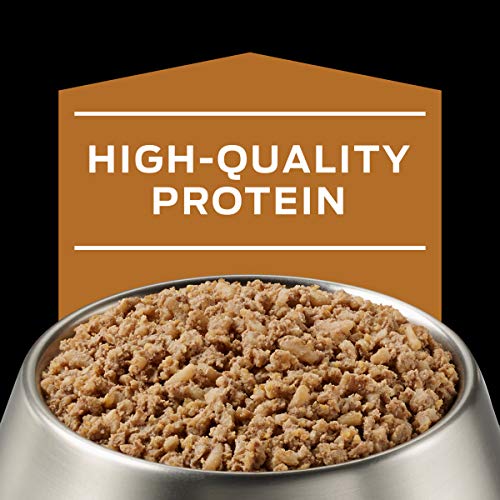 The 30 Best Dog Food For Kidney Disease of 2023 [Verified] Cherry Picks