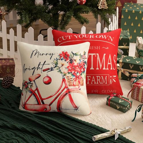 Federe Cuscini Divano 40 x 40 Natalizie Set da 4