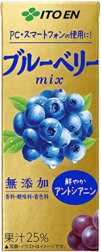 伊藤園 ブルーベリーぶどうmix 200ml紙パック×24本入×(2ケース) 伊藤園 ブルーベリーぶどうmix 200ml紙パック×24本入×(2ケース)