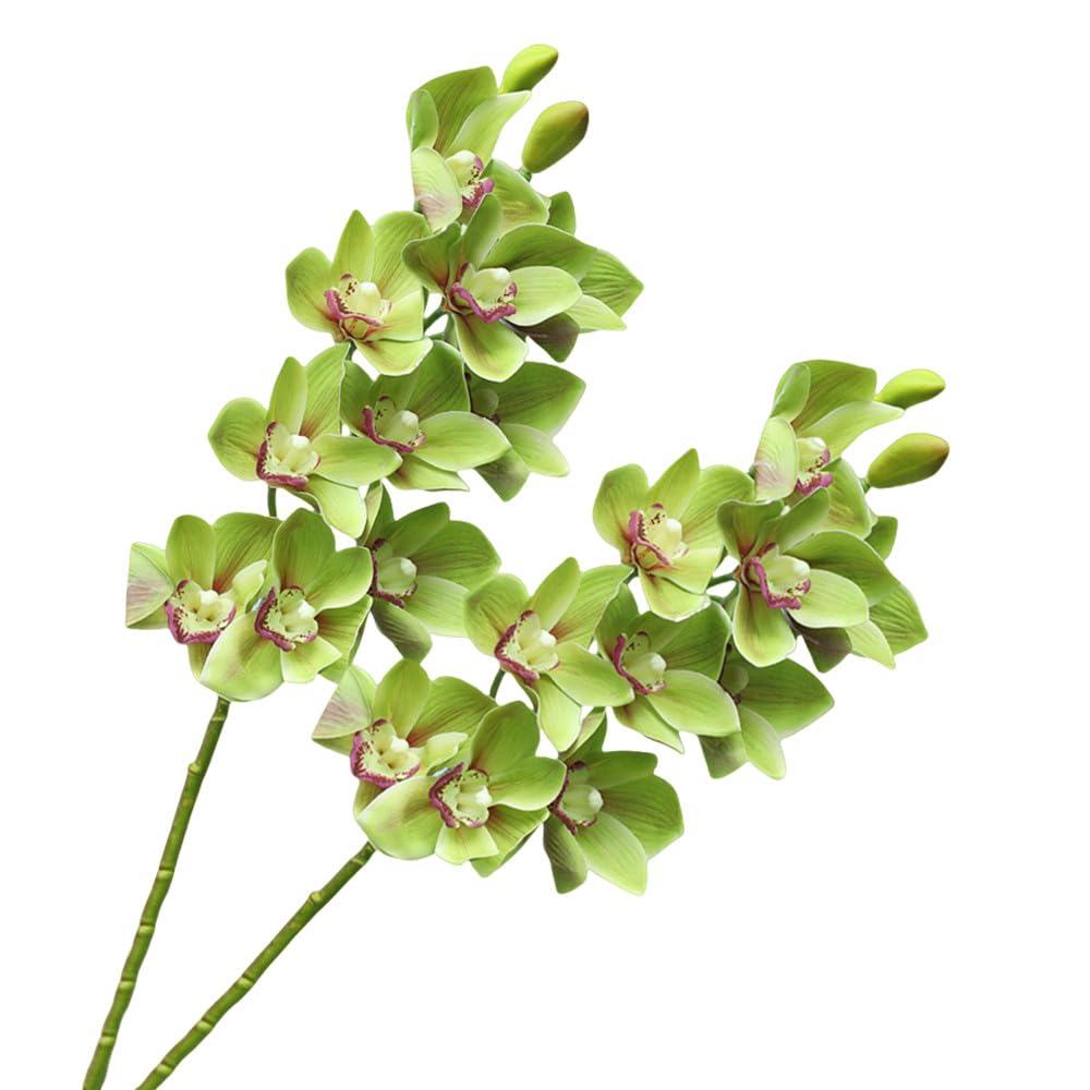 Xzjmy Green 28.4" Artificial Phalaenopsis Flowers,Latex Phalaenopsis Branches,3D Faux Cymbidium Flowers 10 Large Petals Orchids For Home Décor (2, )