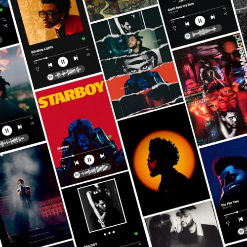 Image of Funk You Store The Weeknd Wall Collage Kit Posters (Pack of 14) - 6 x 8 Inches Posters for Wall Decoration - Wall Art For Bedroom, Office, Living room - Double Tape Included (Weeknd, 14)