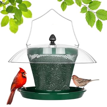 best bird feeders for sunflower seeds that will surprise you 1 best bird feeders for sunflower seeds