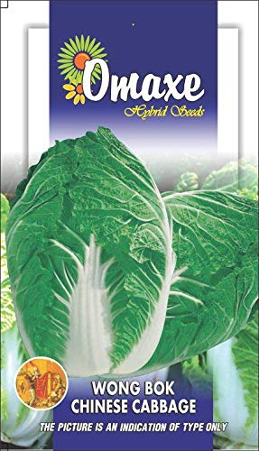 Omaxe Seeds Chinese Cabbage Wong Bok Exotic Seeds Kitchen Garden Packet (B07MJLF6JK) Amazon Price History, Amazon Price Tracker