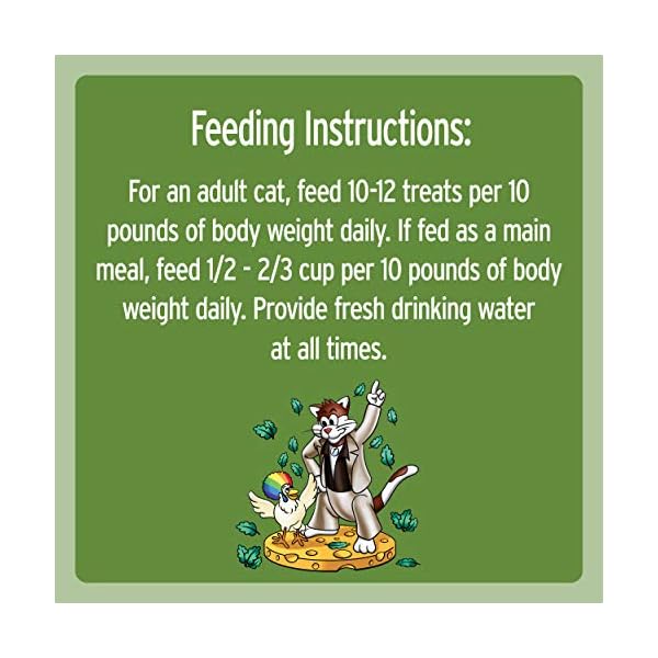 TEMPTATIONS MIXUPS Crunchy and Soft Cat Treats Catnip Fever Flavor, 16 oz. Tub Topdogsupply