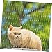 SEWOART 1set Cat for Balcony Lightweight Nylon Pet Protective Mesh Easy Installation Fall Net for Cats Dogs Adaptable Window Barrier