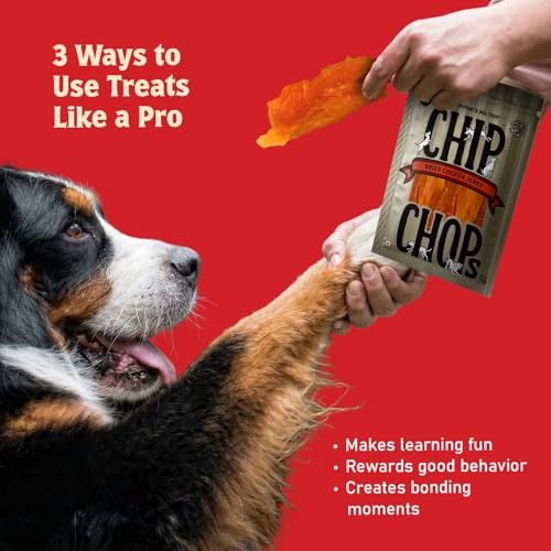 Image of Chip Chops Sun Dried Dog Treat, Easily Digestible, Healthy Dog Treat, Perfect for Snacks, Suitable for All Dog Breeds, Each 70gm (Pack of 12)