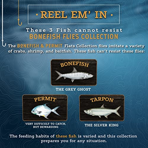 Discountflies Bonefish & Permit Fly Fishing Flies Saltwater – Fishing Kit W/12 Assorted Flies + Fly Box – Realistic Fly Fishing Accessories – Flies For Fly Fishing On Strong, Sharp Hooks (12 Pieces) #TOP3