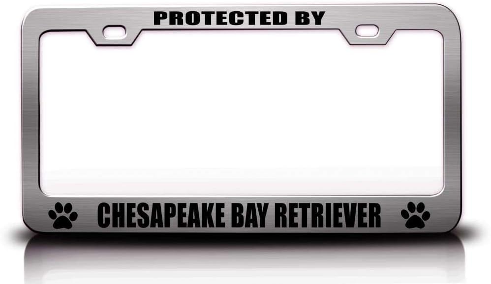 Protected by Chesapeake Bay Retriever Dogs Metal Car SUV Truck License Plate Frame Ch z94