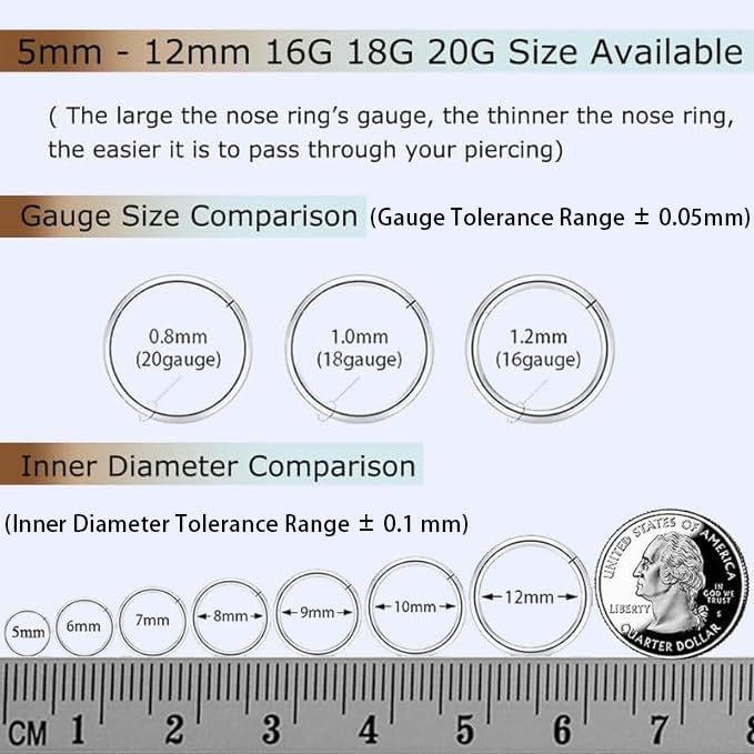 2Pcs Titanium Nose Rings 20G 18G 16G Nose Rings Hoops Septum Clicker Hinged Segment Ring Cartilage Helix Tragus Conch Daith Rook Nostril Hoop Piercing Earring, Diameter 5mm to 12mm Silver-Gold-Rose Gold-Black4