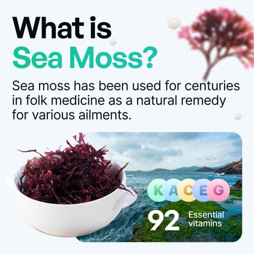 Organic Irish Sea Moss Pills - Wildcrafted Dr Sebi Inspired Seamoss Blend with Turmeric, Burdock Root & Bladderwrack, Enhanced with Black Pepper - 60 Capsules - Image 6