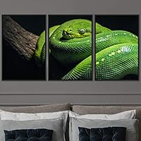 3 Piece Framed Canvas Wall Art Snakes Canvas Prints Home Artwork Decoration for Living Room,Bedroom - 16