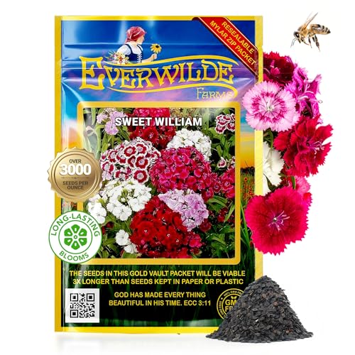 Everwilde Sweet William Seeds 2,000 Count – Red, Pink & White Blooms – Fragrant & Easy-to-Grow Perennial – Ideal Dianthus Seeds for Borders, Pollinator Gardens & Cut Flowers – XL Mylar Packet