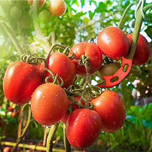 Planta de 90 graus Bender 40 pcs vermelho plástico planta crescimento treinador clipes grampo de gal