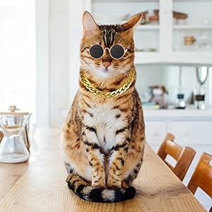 Cat Sunglasses Gold Chain Costume Decorations- Cat UV Protection Classic Retro Puppy Retro Black Sunglasses Faux Gold Adjustable Chain Cosplay Costume Cool Funny Photo Props