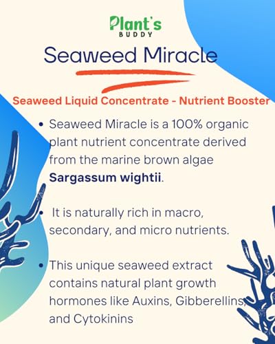 Image of PLANT'S BUDDY Seaweed Miracle - 100% Organic Seaweed Liquid Fertilizer for plant | Boosts Growth, Flowering, Fruit Quality & Soil Health | For All Plants - Foliar & Soil Application - 250ml