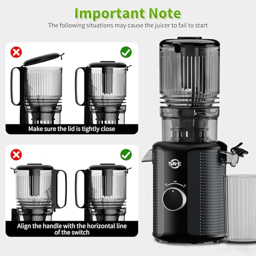 Automatic Cold Press Juicer Machine