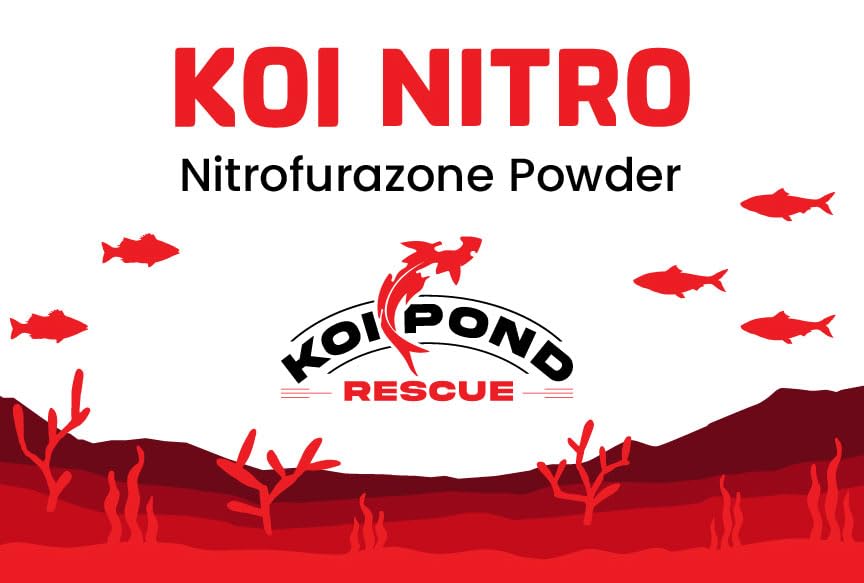 Image of KOI Nitro (10 Grams) Nitrofurazone Powder, Effective Fish Treatment for Bacterial Infections in Koi and Ornamental Fish