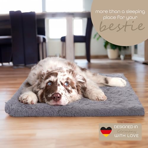 Paco Home Hundebett Katzenbett Flauschig Hundekissen Donut Hundedecke Hund Katze Hundekörbchen Katzenkorb Waschbar, Farbe:Grau, Größe:50x80 cm