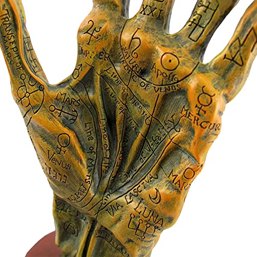 Meperper Palm Reading Hand 5X4X11 - Hand Decor - Palmistry Model - Palmistry Hand Sculpture - Hand Statue - Witchy Gifts - Altar Decor - Macabre Decor - Oddities Decor - Witchy Home Decor #TOP6