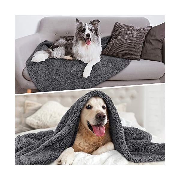PetAmi Fluffy Waterproof Dog Blanket Fleece | Soft Warm Pet Fleece Throw for Large Dogs and Cats | Fuzzy Furry Plush Sherpa Throw Furniture Protector Sofa Couch Bed (Grey, 60×80) PetAmi Fluffy Waterproof Dog Blanket Fleece | Soft Warm Pet Fleece Throw for Large Dogs and Cats | Fuzzy Furry Plush Sherpa Throw Furniture Protector Sofa Couch Bed (Grey, 60×80)
