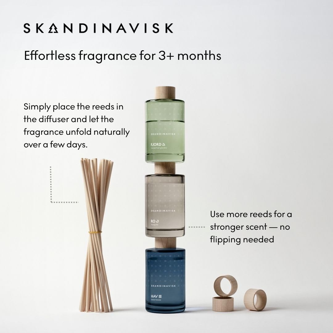 Skandinavisk ARKTIS Diffuseur de parfum avec 8 roseaux Notes de parfum : bois balayé par le vent et sauge arctique, menthe verte et flocons de neige. 93,6 g