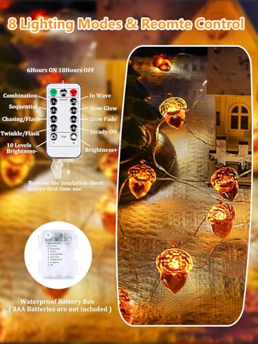 Image of EXF Fall Decor Acorn Fairy Lights Battery Operated with Remote 10FT 30 LED