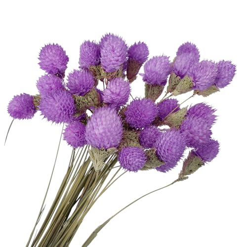 Mini flores secas bola de pino 16 pulgadas 30 piezas miniatura 1