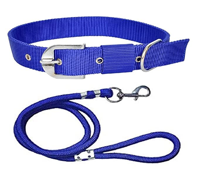 Hundur Store Dog Neck Collar Belts and Rope Set for Small Dog Collar & Leash (Blue) (B0B8F2B9N5) Amazon Price History, Amazon Price Tracker