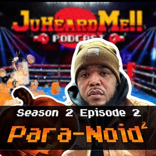 Page de couverture de ParaNoid2