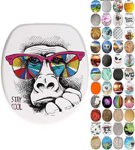 Sanilo Abattant WC frein de chute, Grande sélection de lunettes de toilette, Finition de haute qualité, Fixation facile (Stay Cool)