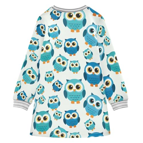 Long Sleeve Girls Dresses, Cute Blue Teal Owls Thanksgiving Dress 2T2
