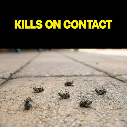 Image of Raid Multi Insect Killer, Kills Ants, Roaches, Spiders and Other Insects on Contact, For Indoor and Outdoor Use, 15oz